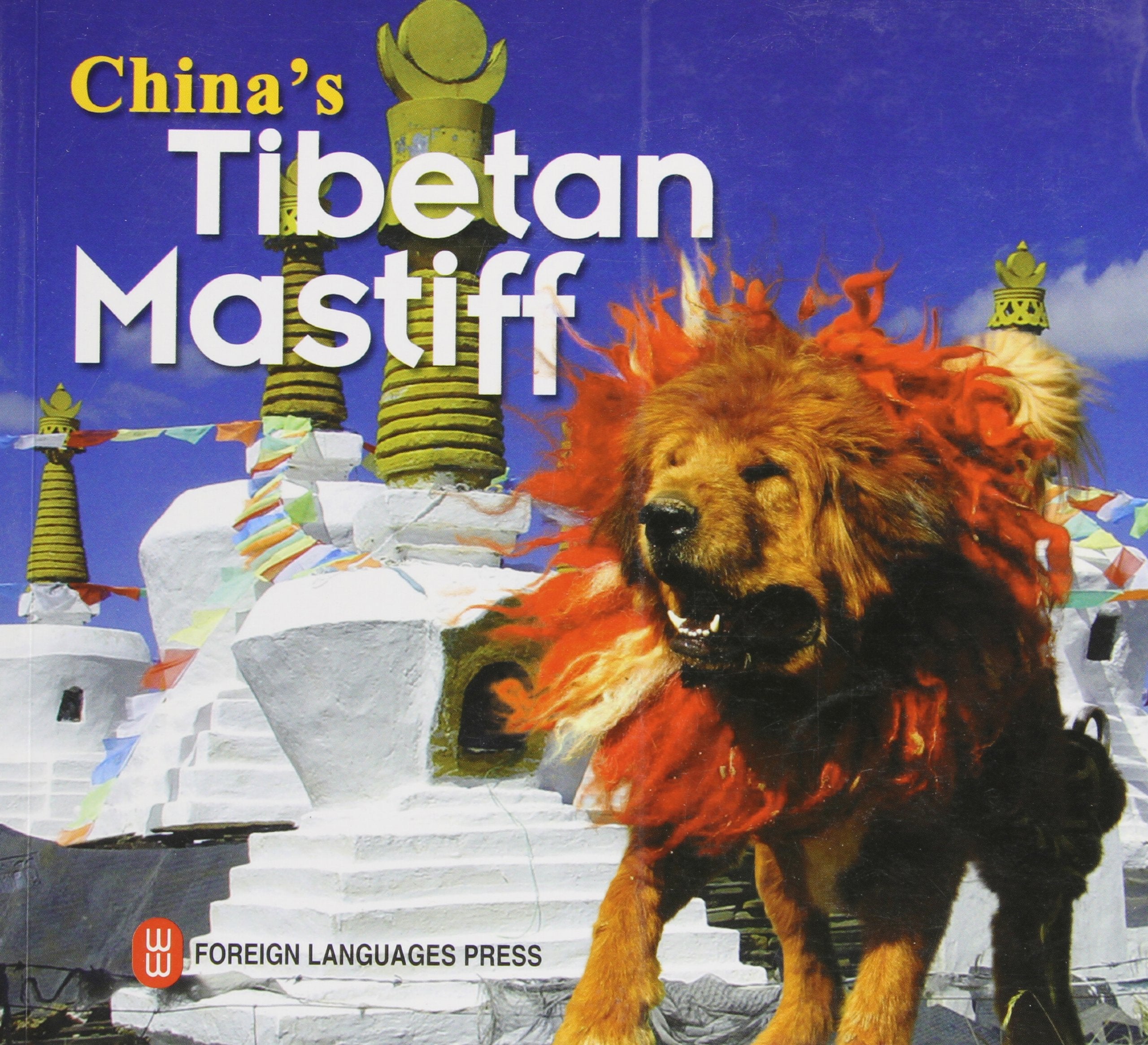 China's Tibetan Mastiff Geology & Geography