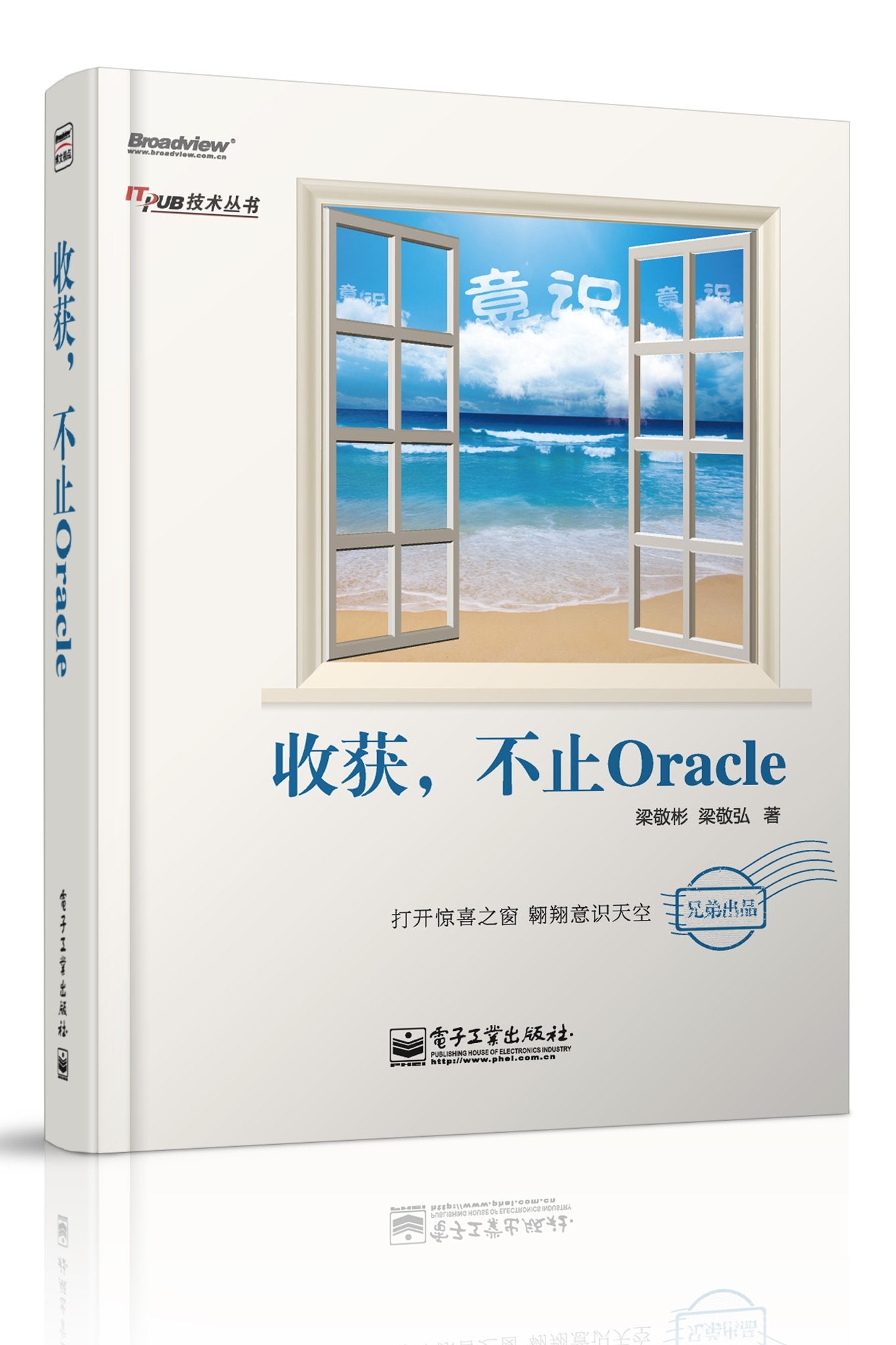 收获，不止Oracle 梁敬彬,梁敬弘 9787121200700 电子工业出版社 Books