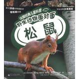 法国经典儿童科普 野生动物面对面—熊(法)杜贝哈 ,司凤霞电子工业出版社9787121200816 Books