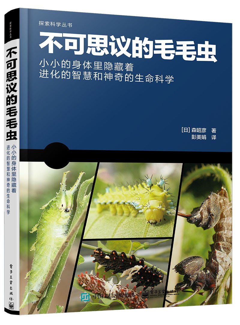 Product Image: 不可思议的毛毛虫