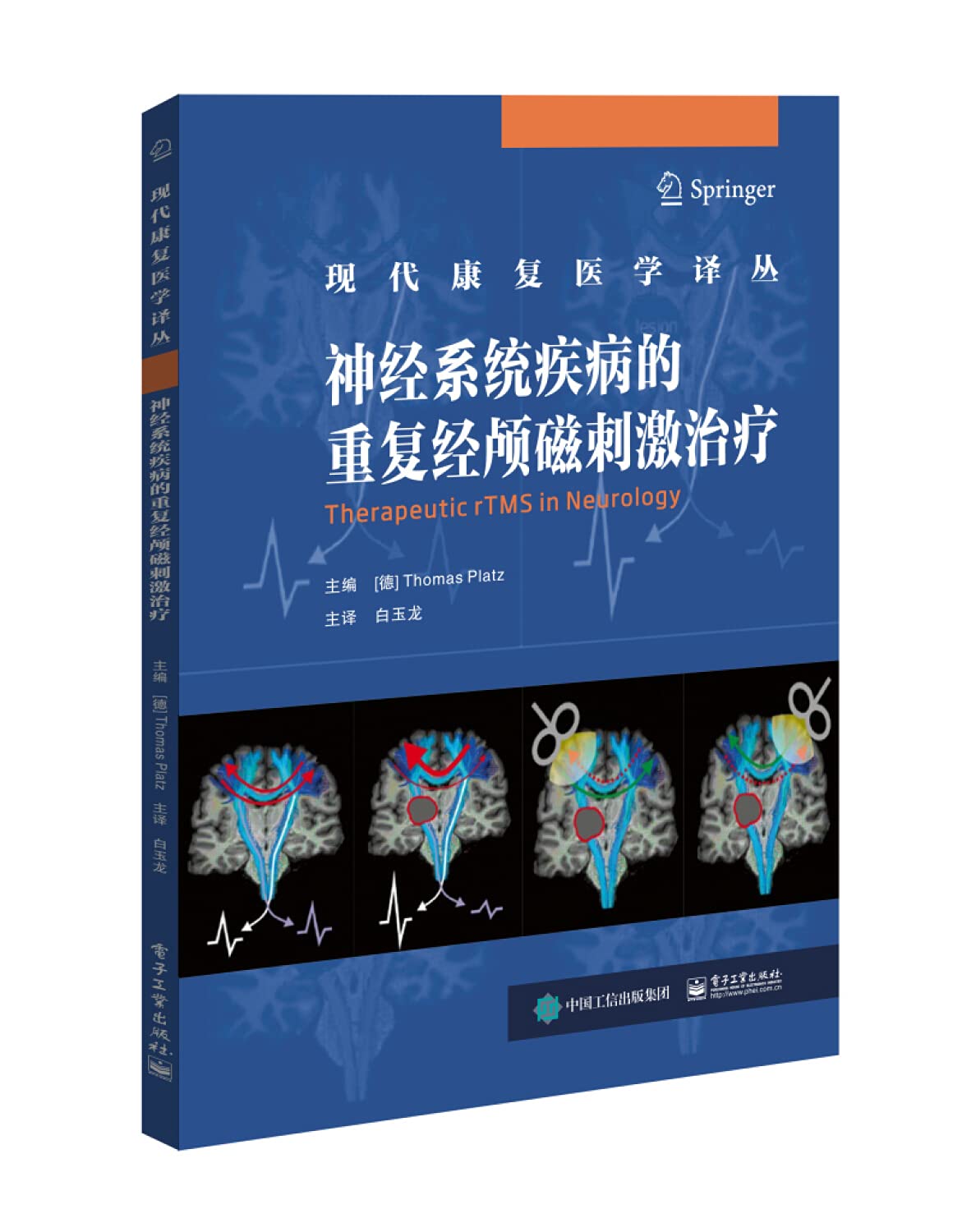 神经系统疾病的重复经颅磁刺激治疗 rTMS神经生理学原理机制脑卒中帕金森临床应用建议 现代康复医学书籍 临床医学基础知识概要 Books