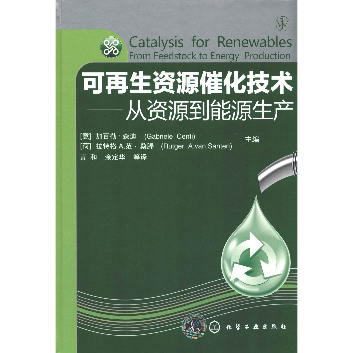 可再生资源催化技术--从资源到能源生产 森迪(Centi G ) 桑滕(Santen R A ) 黄和 余定 化学工业出版社 9787122118738 Books