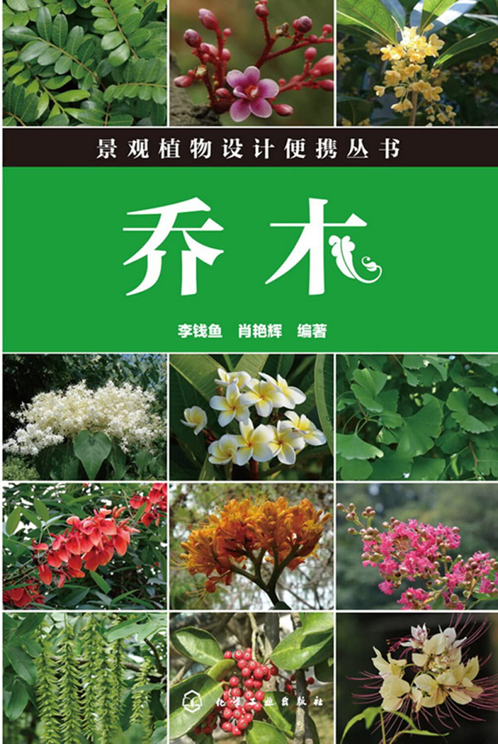 乔木李钱鱼,肖艳辉 著 化学工业出版社 【正版图书】 Books