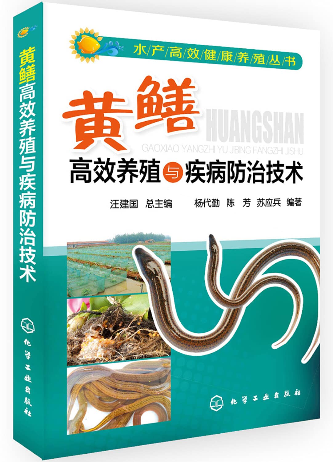 黄鳝养殖技术大全2册 +家庭园林的设计与布置黄鳝高效养殖技术+黄鳝高效养殖与疾病防治技术 高效养黄鳝 农业水产养殖书籍饲料配制疾病预防诊治 Books