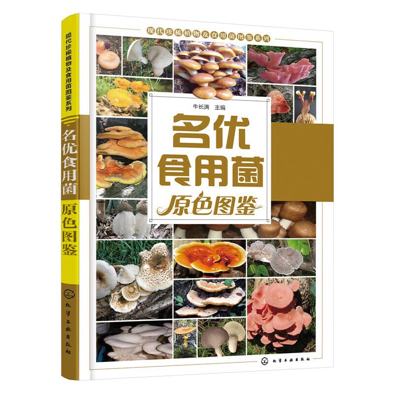 【二手9成新】名优食用菌原色图鉴牛长满 9787122264138化学工业 book