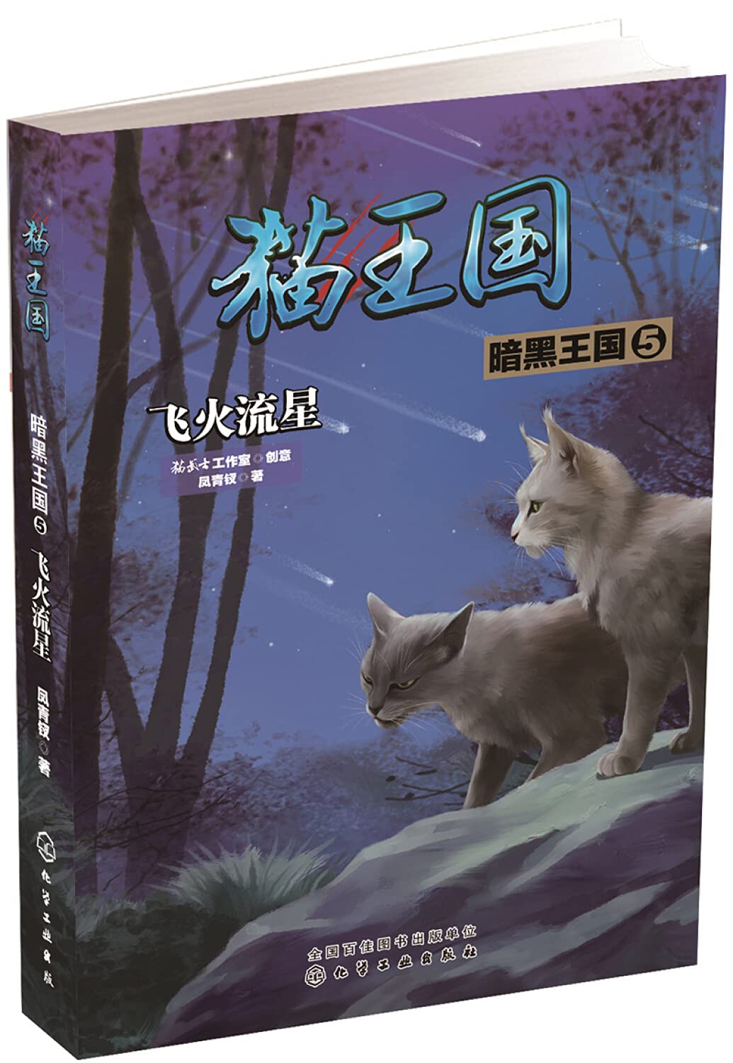 猫王国·暗黑王国.5，飞火流星 book