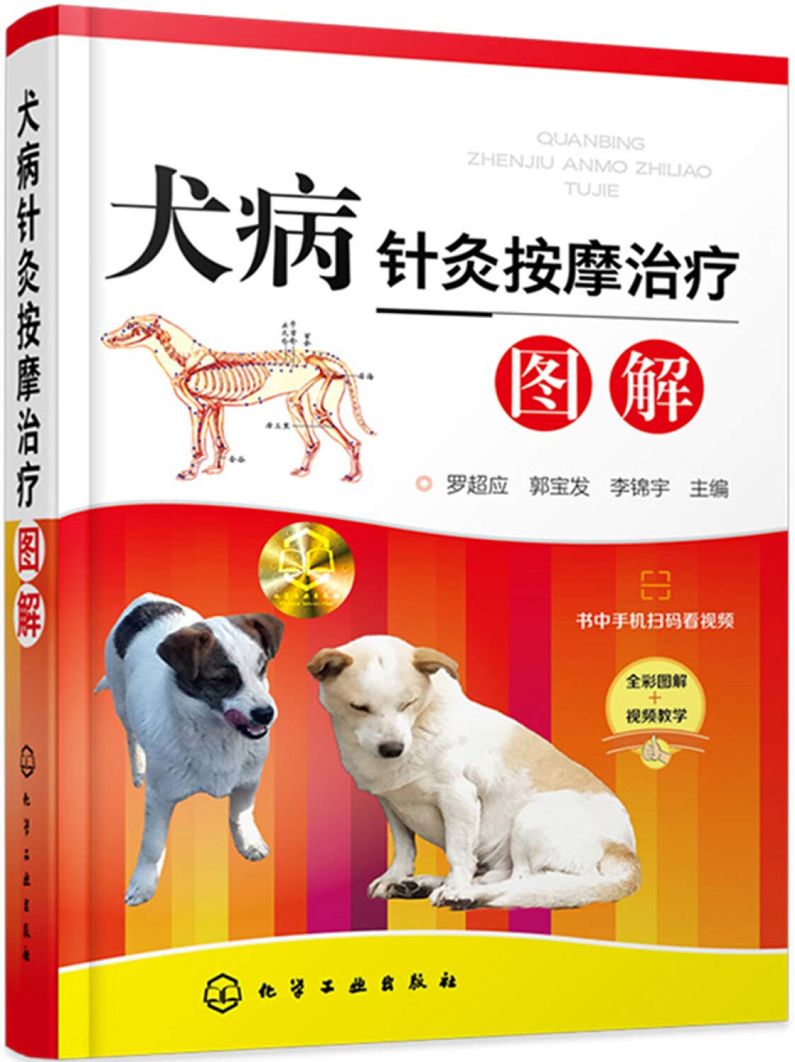 【全2册】犬病针灸按摩治疗图解+宠物疾病鉴别诊断与防治犬病针灸按摩治疗书狗病防治宠物饲养爱好者宠物医 Books