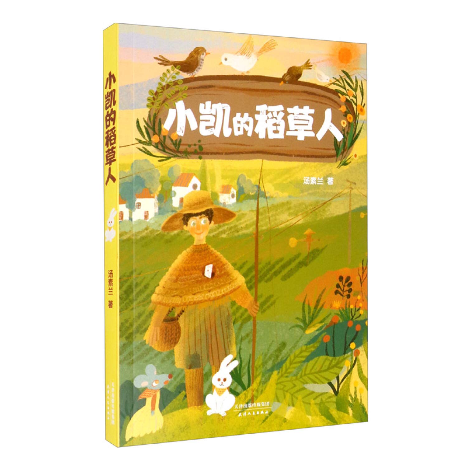 小凯的稻草人（中文分级阅读K4，10-11岁适读，汤素兰代表作，中国原创童话故事） book