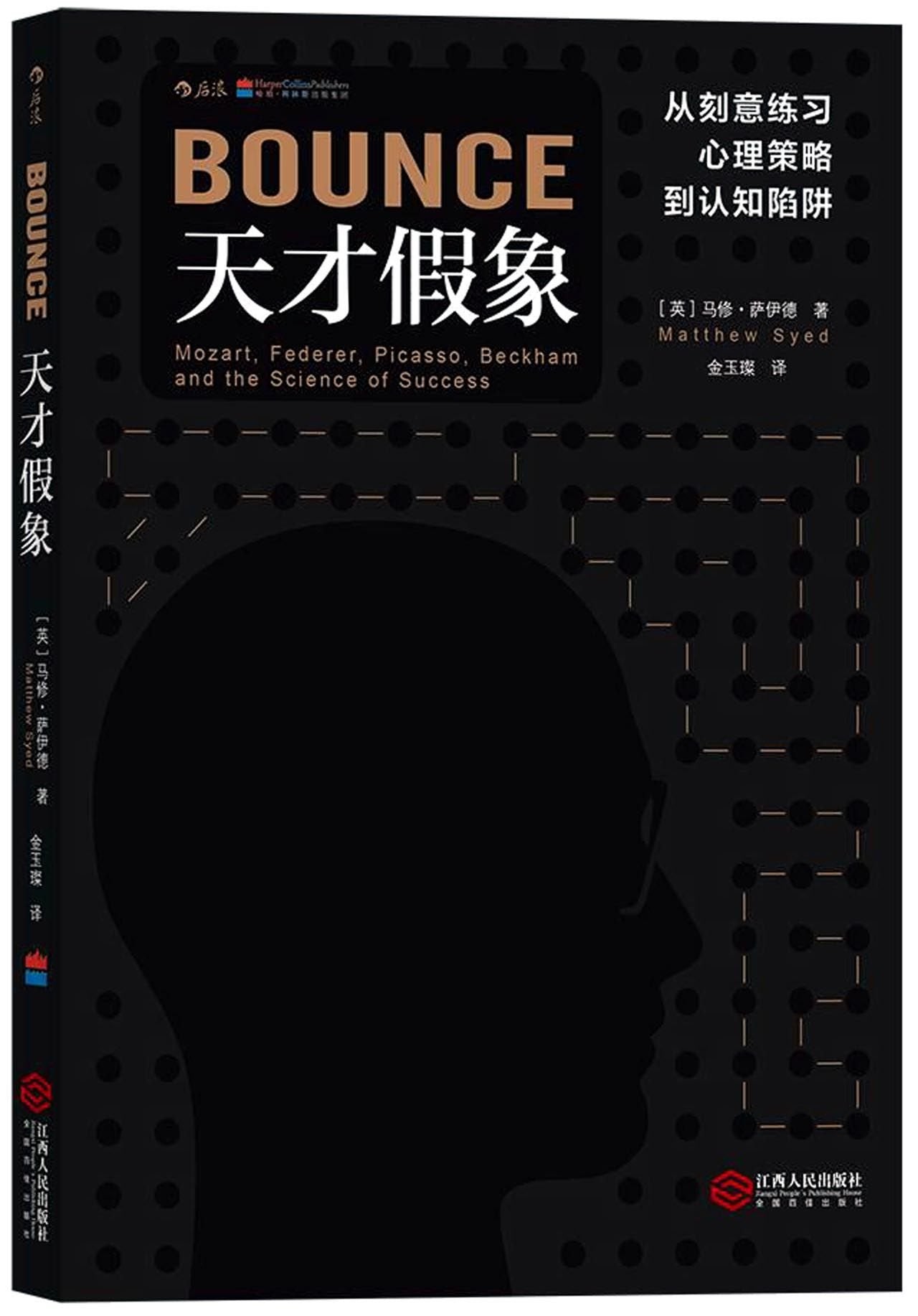 Bounce: Mozart, Federer, Picasso, Beckham, and the Science of Success (Chinese Edition) Books