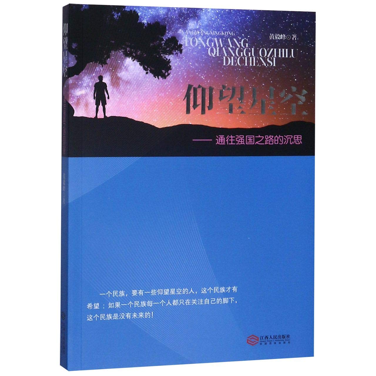 仰望星空——通往强国之路的沉思 book