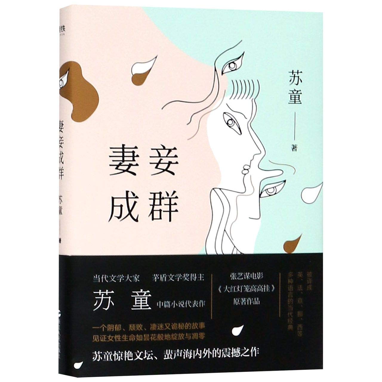 Wives and Concubines (Chinese Edition) Books