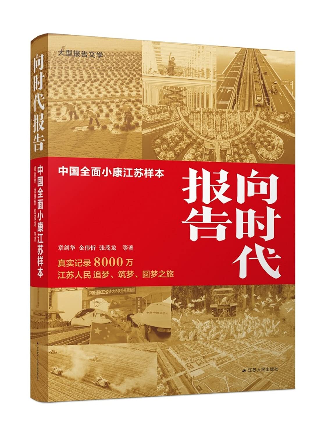 向时代报告：中国全面小康江苏样本 Books