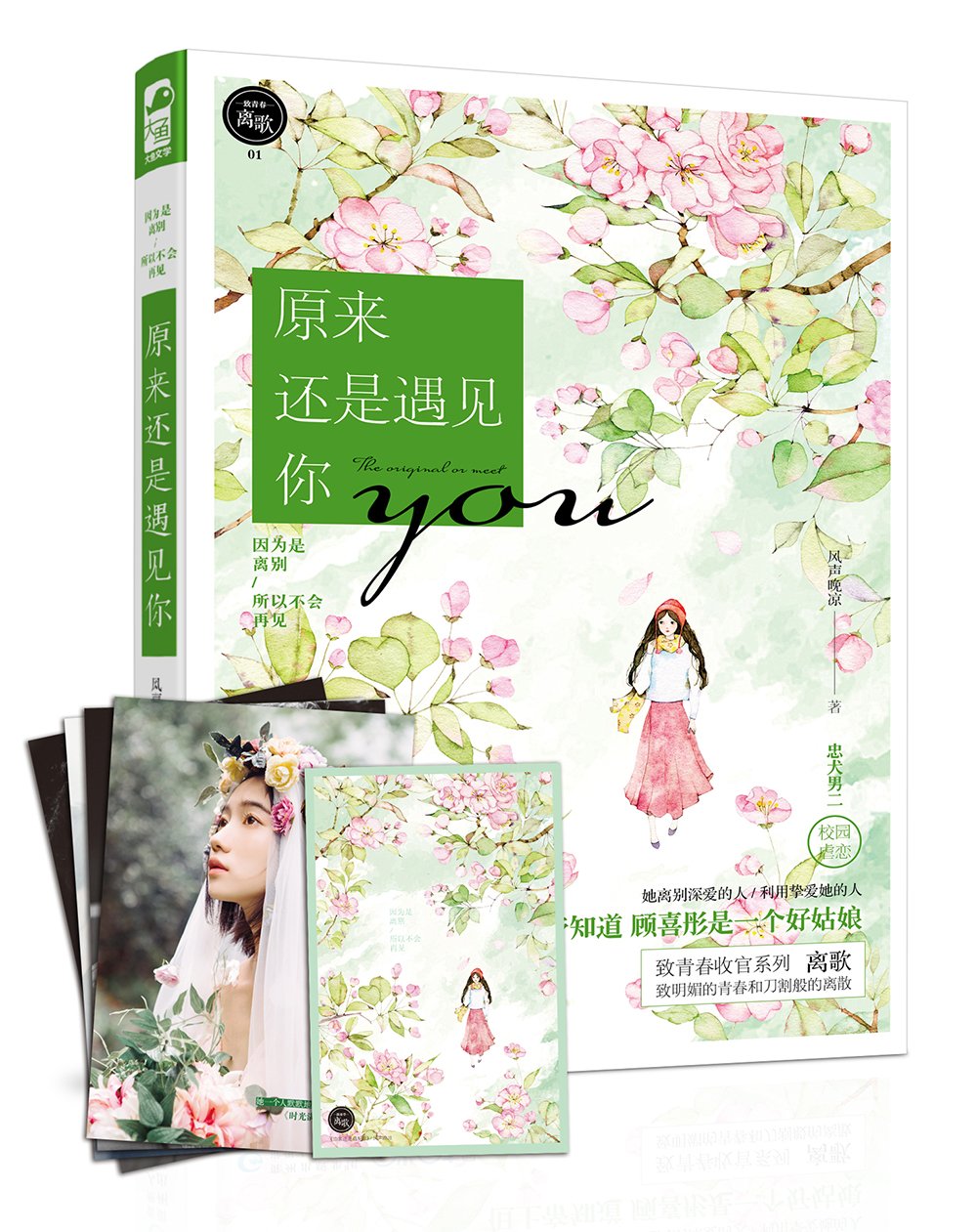 致青春·离歌系列:原来还是遇见你(附精美日历卡4张+信片1张) book
