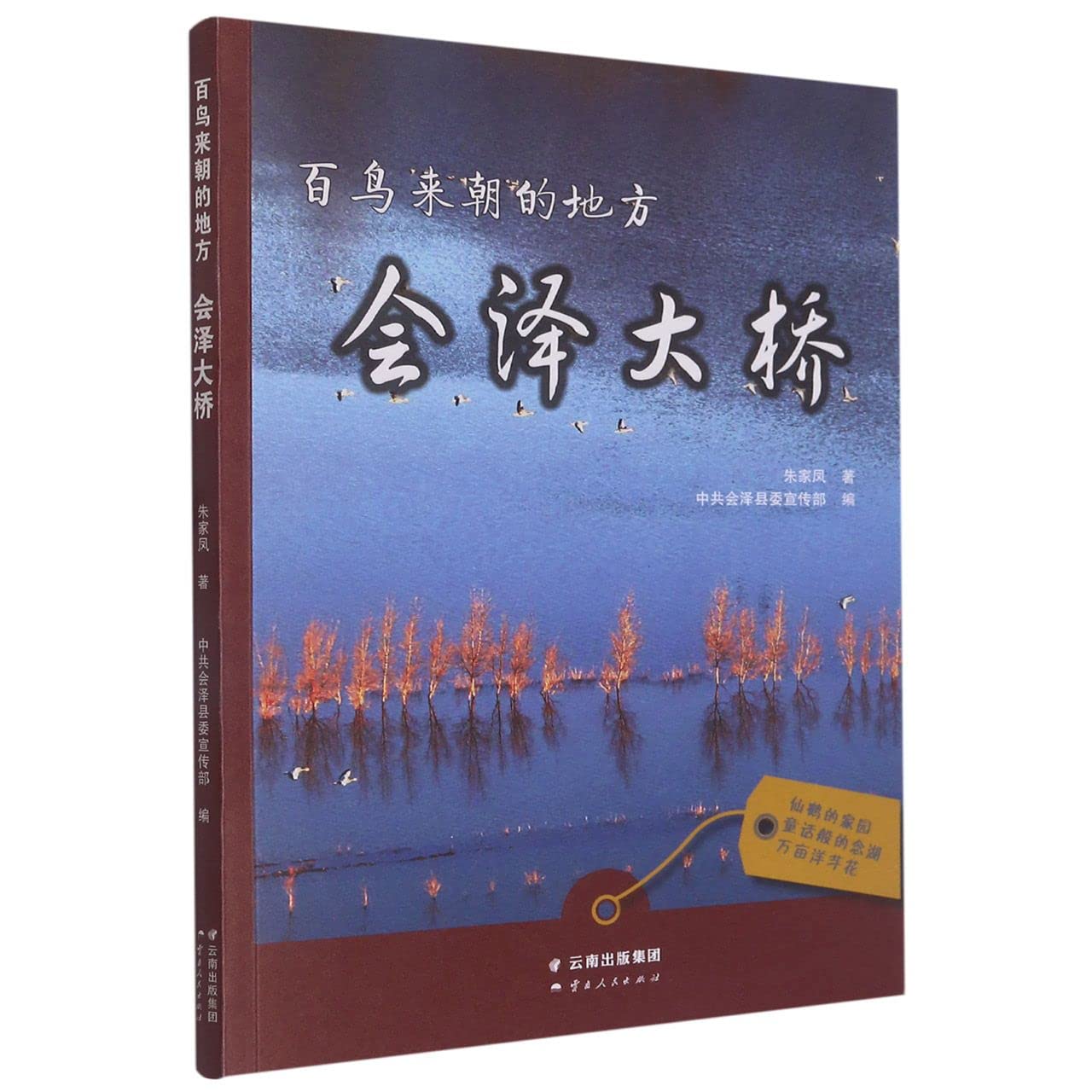 百鸟来朝的地方(会泽大桥) book