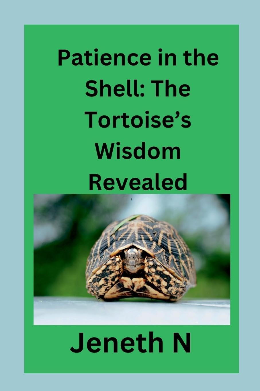 Product Image: Patience in the Shell