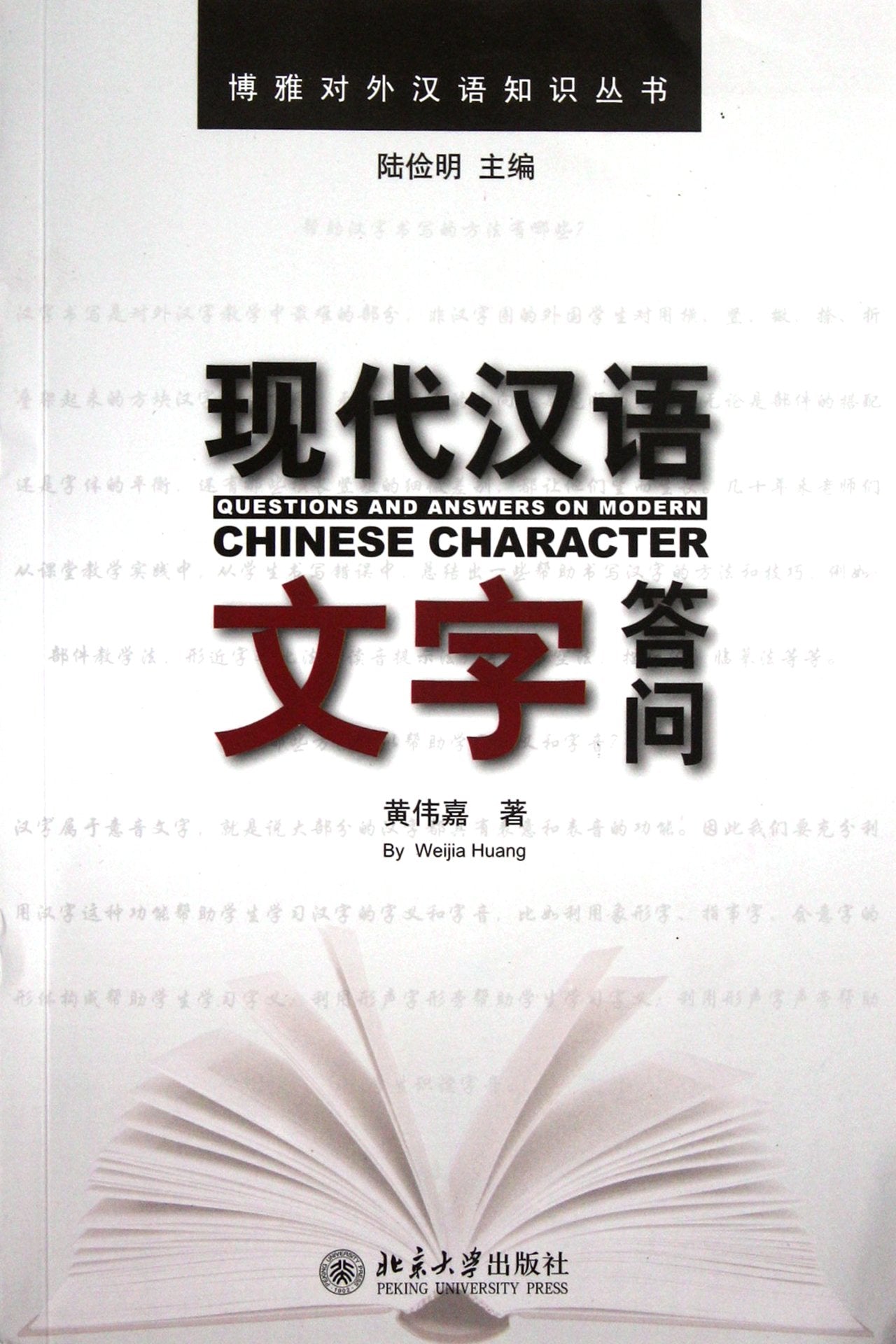 Q & A on Modern Chinese (Chinese Edition) Reference Books