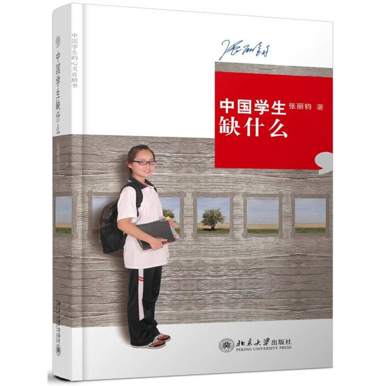 中国学生缺什么 Books