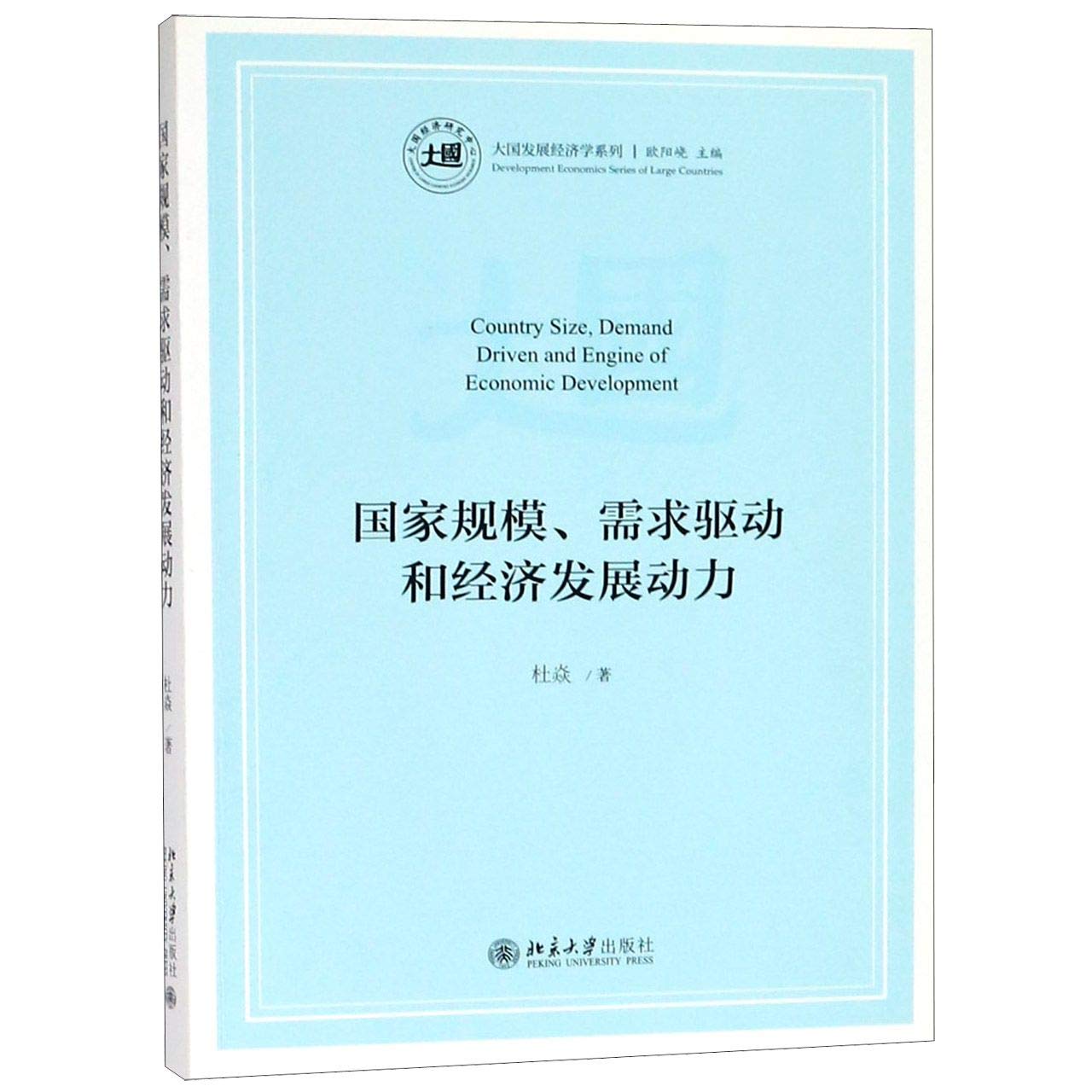 国家规模.需求驱动和经济发展动力 北京大学出版社 Books