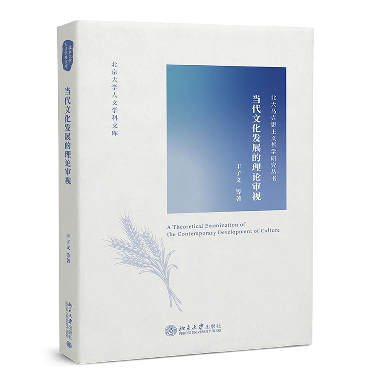 当代文化发展的理论审视 北京大学人文学科文库 北大马克思主义哲学研究丛书 北京大学正版【铭悦文化 保证正版】 Books