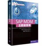 SAP企业信息化与最佳实践丛书:SAP MDM主数据管理 Books