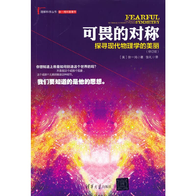 可畏的对称:探寻现代物理学的美丽 Books