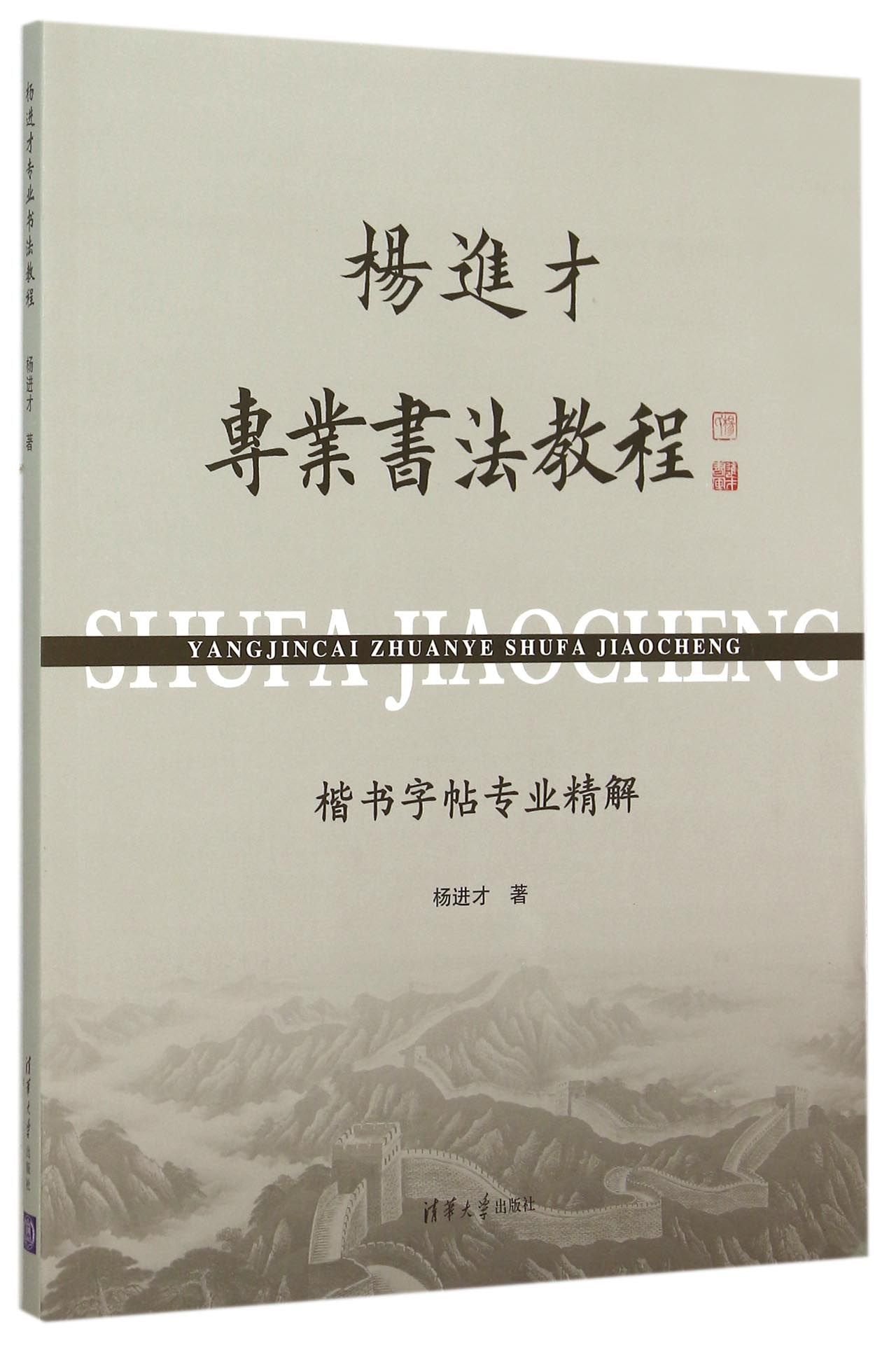 杨进才专业书法教程-楷书字帖专业精解【正版图书，放心下单】 Books