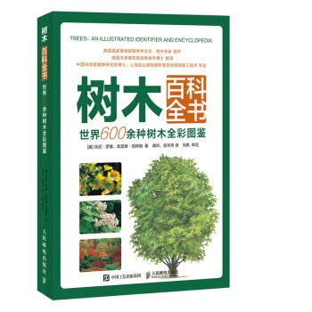 全5册乐高幻影忍者漫画故事第二辑乐高幻影忍者2019新品绘本儿童3-6周岁提升勇气专注力训练书动漫剧集同名热播动画季漫画书籍 Books