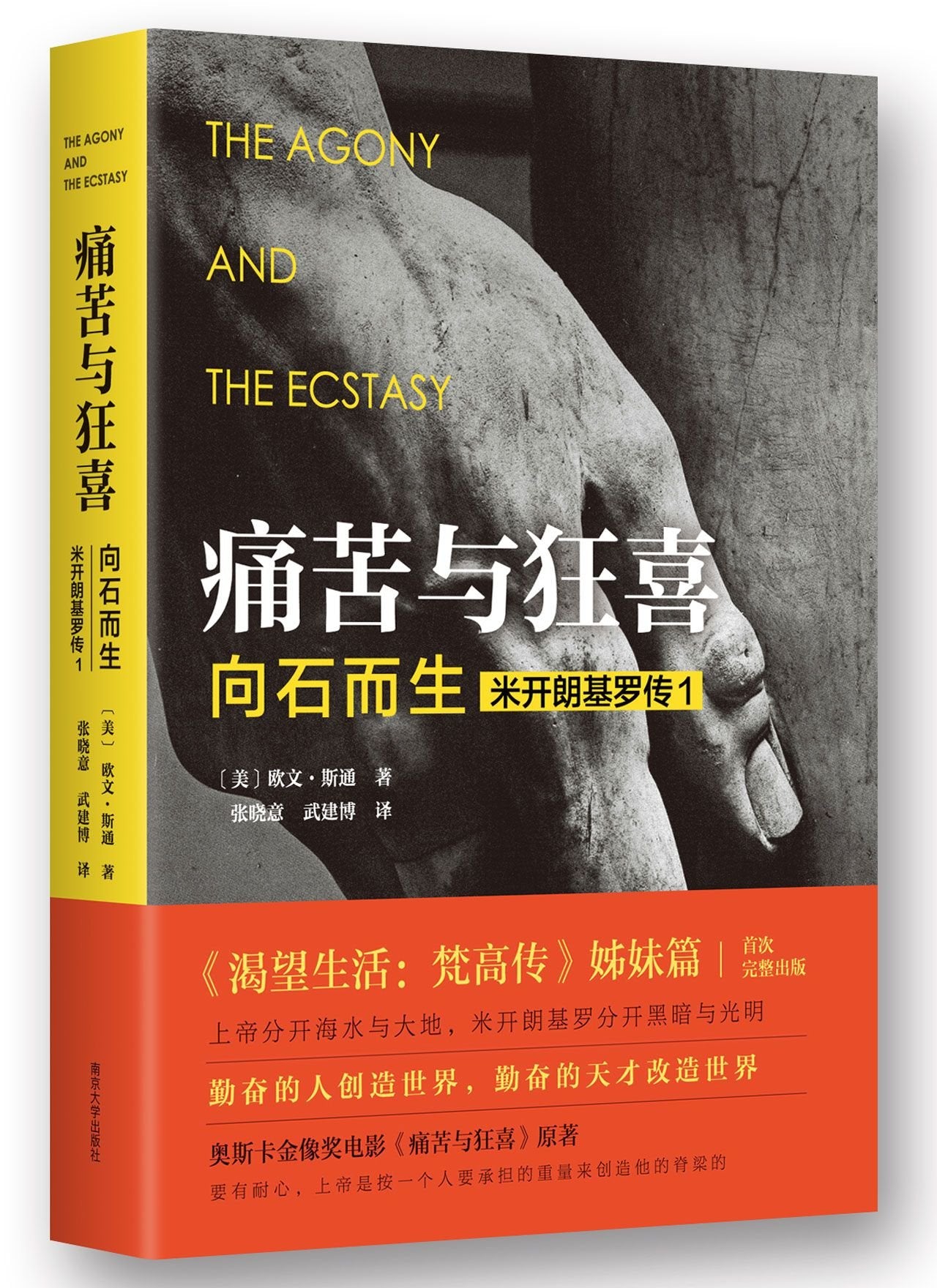 The Agony and the Ecstasy:A Biographical Novel of Michelangelo (Chinese Edition) Books