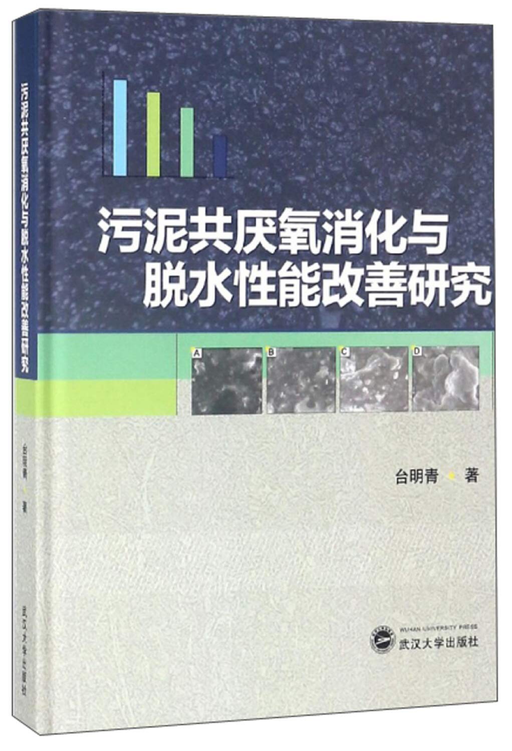污泥共厌氧消化与脱水性能改善研究 台明青 武汉大学出版社 9787307201378 Books