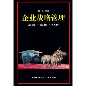 企业战略原理原理实例分析 Books