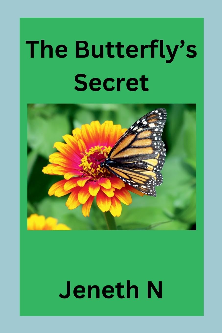 Product Image: The Butterfly's Secret
