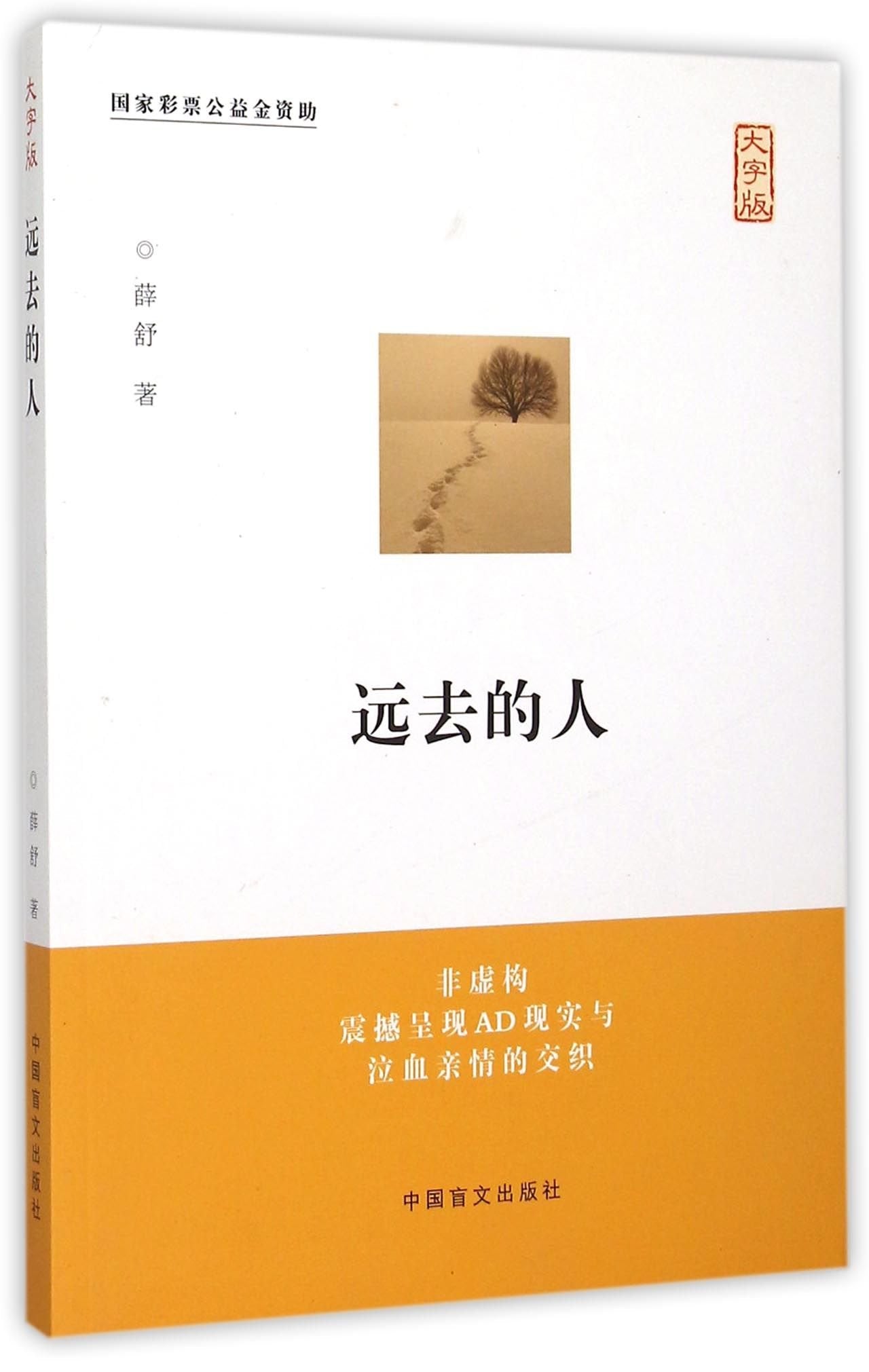 People Far Away (Large Print Edition) (Chinese Edition) book