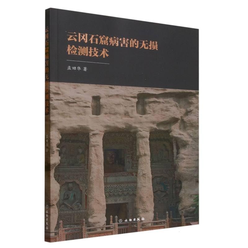 云冈石窟病害的无损检测技术 文物出版社 book