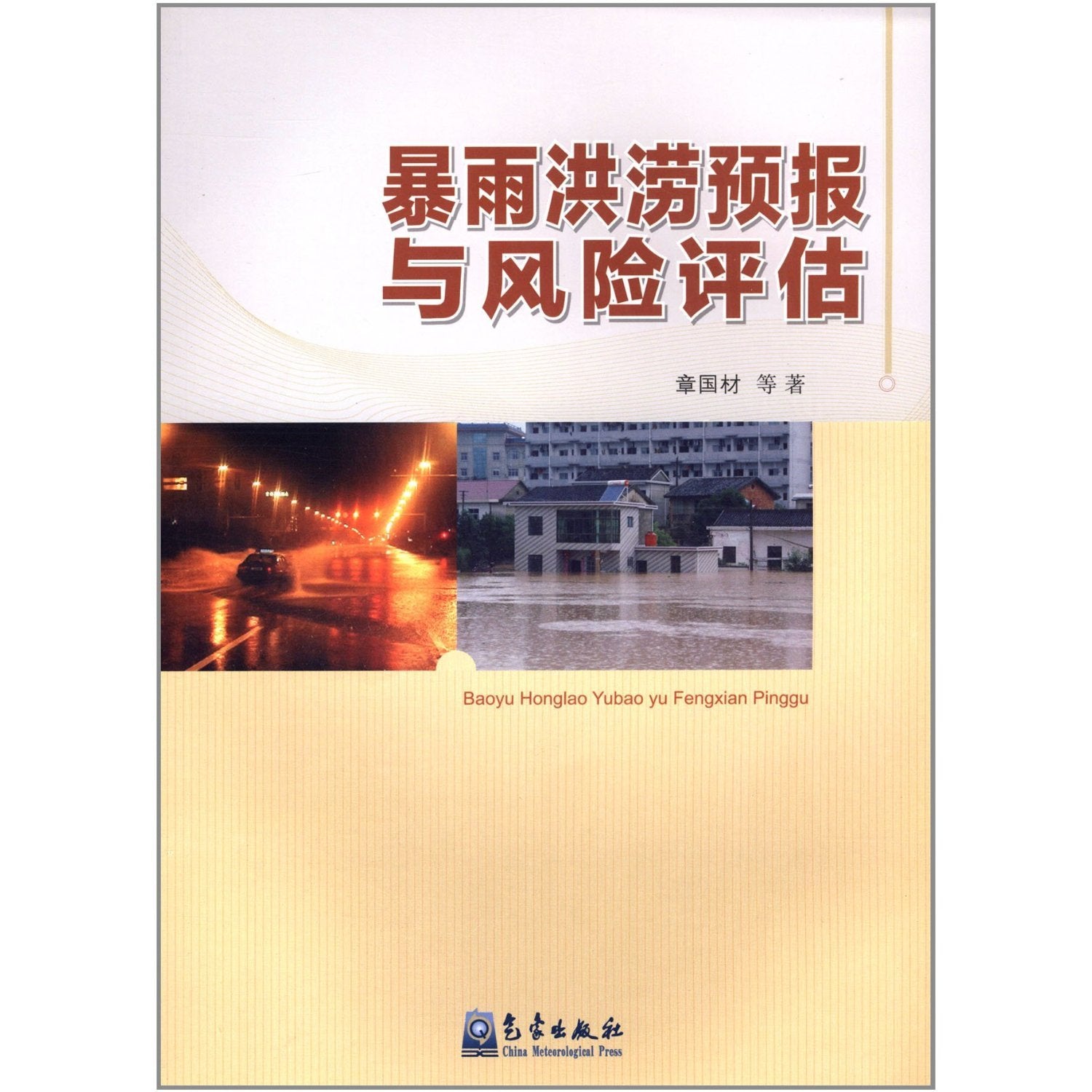 暴雨洪涝预报与风险评估 book