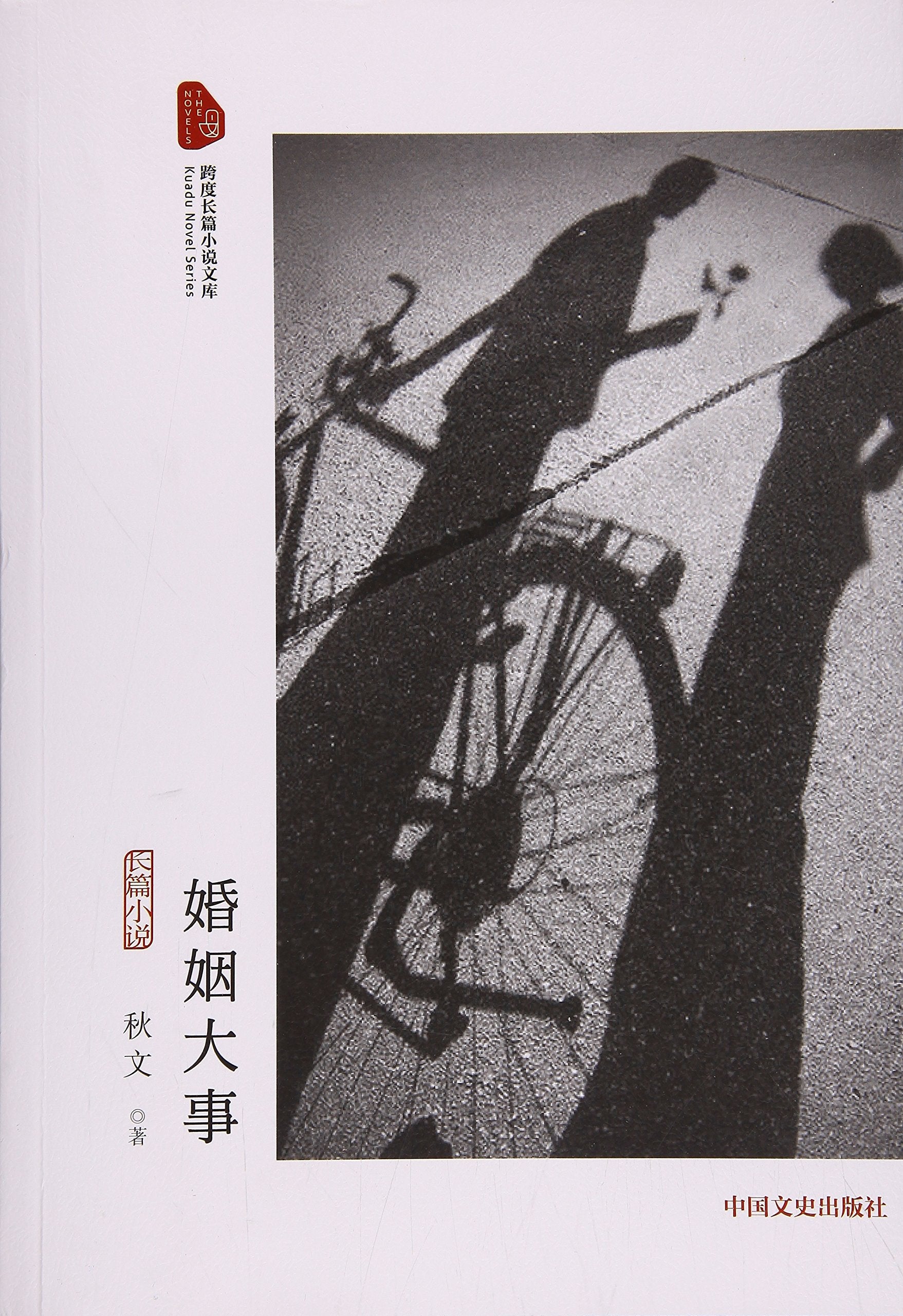 婚姻大事/跨度长篇小说文库 book