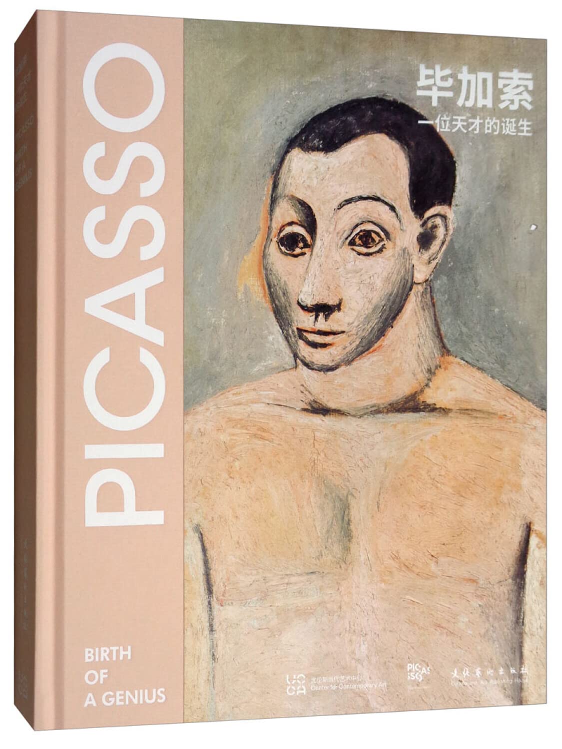 正版全新 毕加索：一位天才的诞生 book