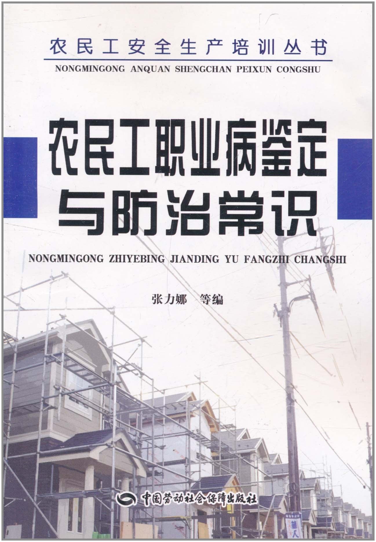 农民工职业病鉴定与防治常识 book