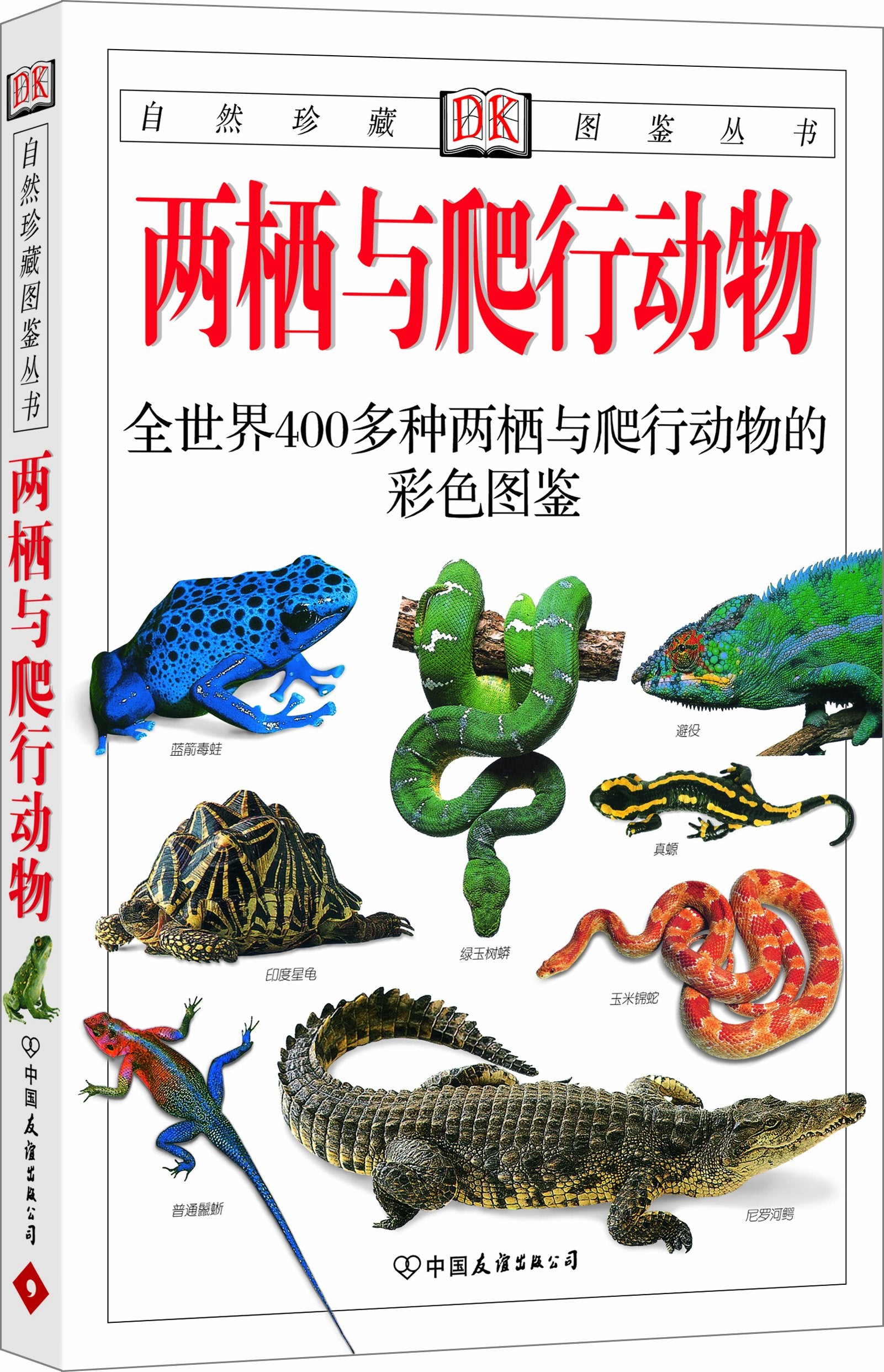 两栖与爬行动物:全世界400多种两栖与爬行动物的彩色图鉴(彩色)(新版) Books