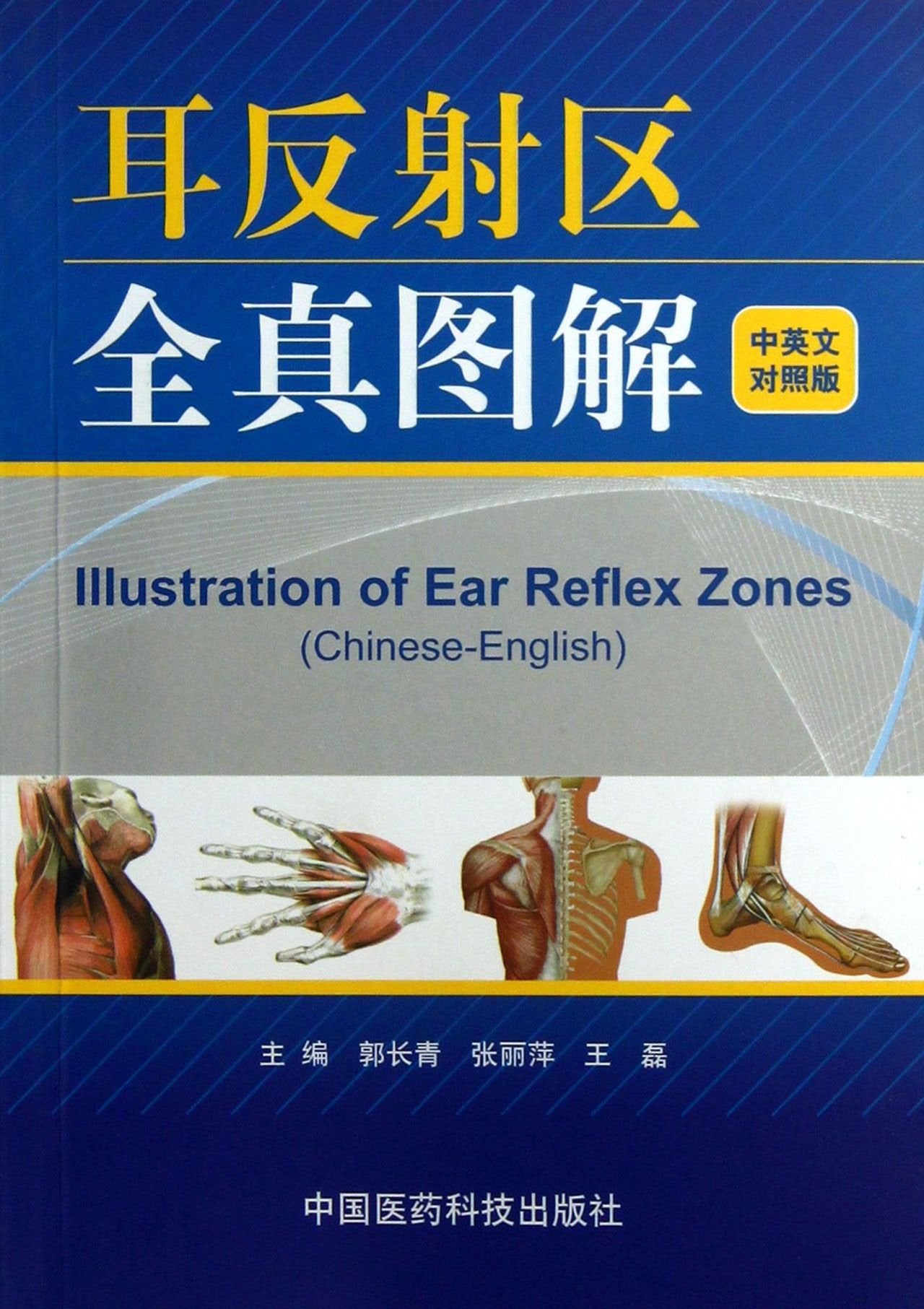 Illustration of Ear Reflex Zones Medicine