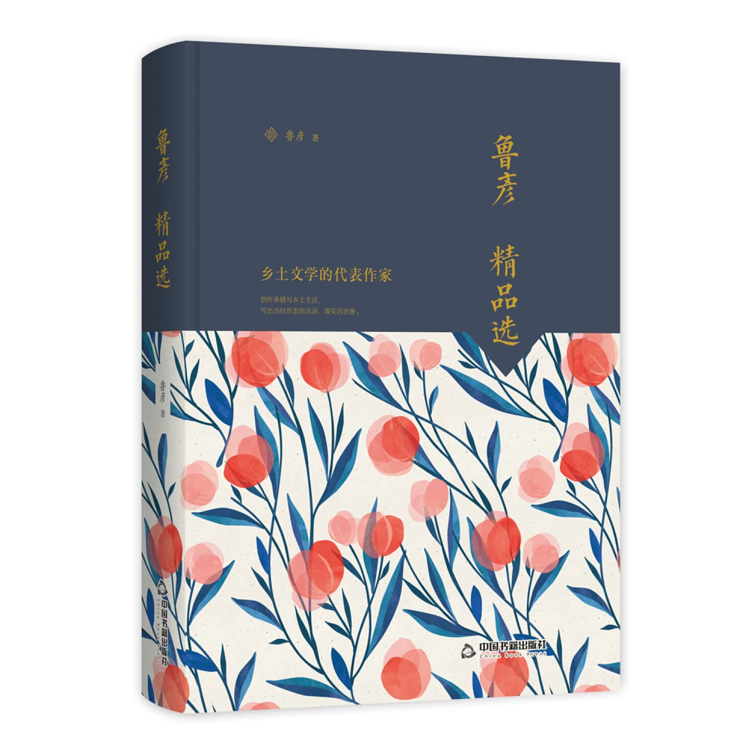 庐隐精品选中国书籍文学馆·大师经典 庐隐 中国书籍出版社 9787506839259 book