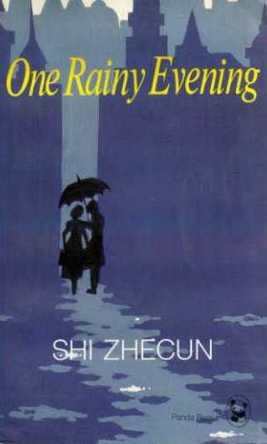 One Rainy Evening Contemporary literature Books