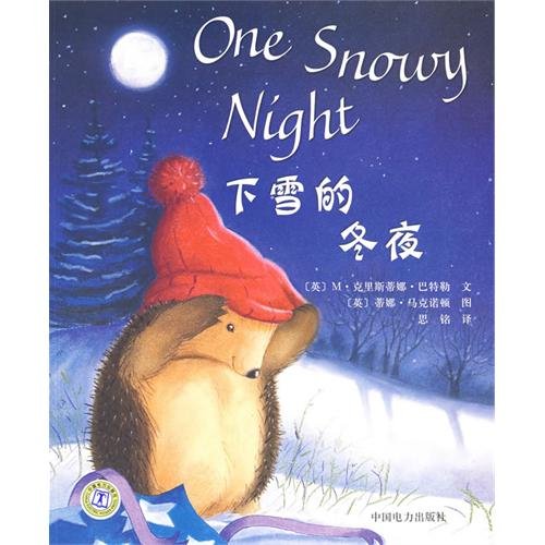 1 Snowy Night Books
