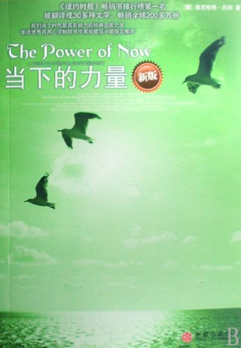 The Power of Now (New Edition) (Chinese Edition) International