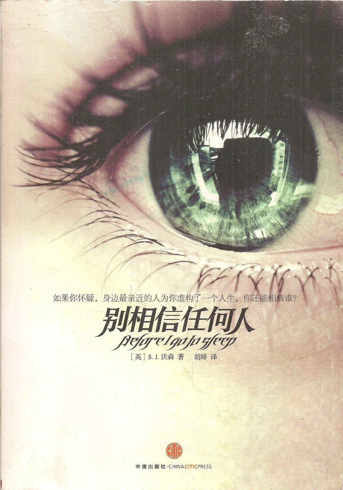 Before I Go to Sleep Books