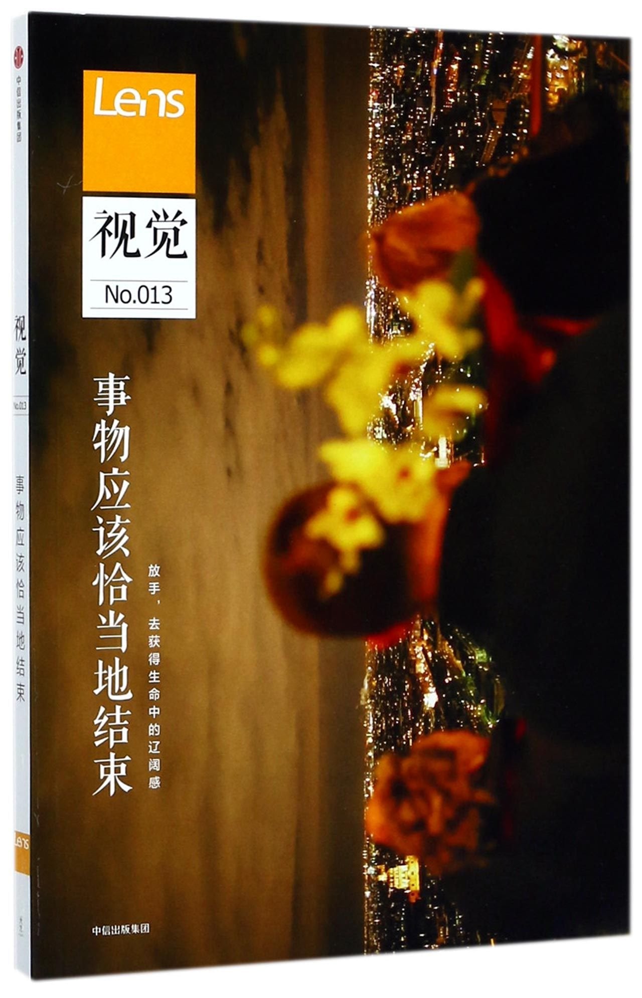 视觉013 事物应当恰当地结束 Lens 出品 中信出版社图书 正版书籍 book