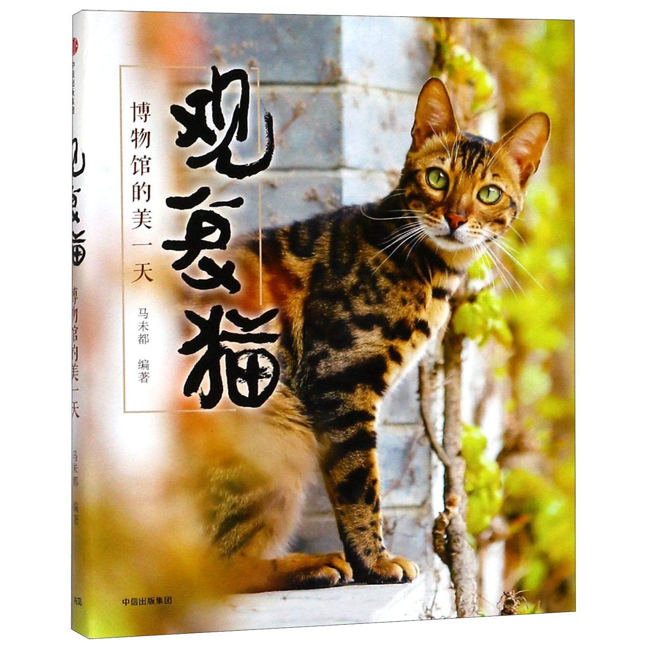 Guanfu Cat (Wonderful Days in the Museum) (Chinese Edition) Books