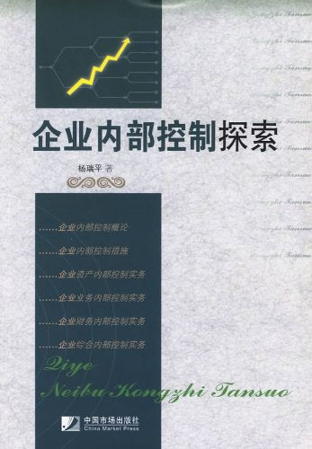 企业内部控制探索 Books