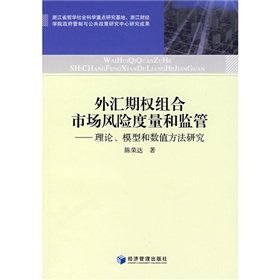 foreign exchange options portfolio market risk measurement and monitoring: Theory, models and numerical methods Books