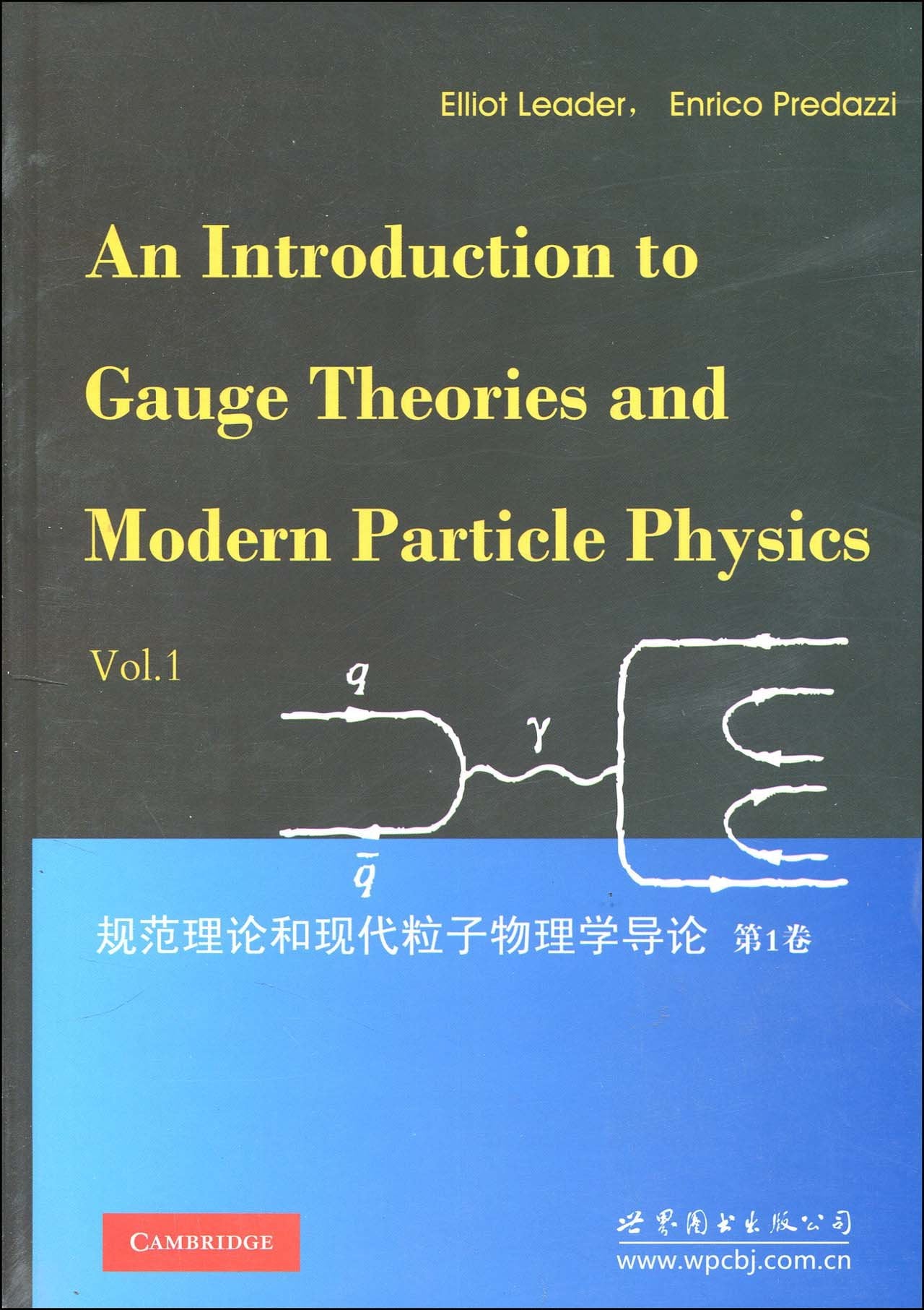 规范理论和现代粒子物理学导论(第1卷) book