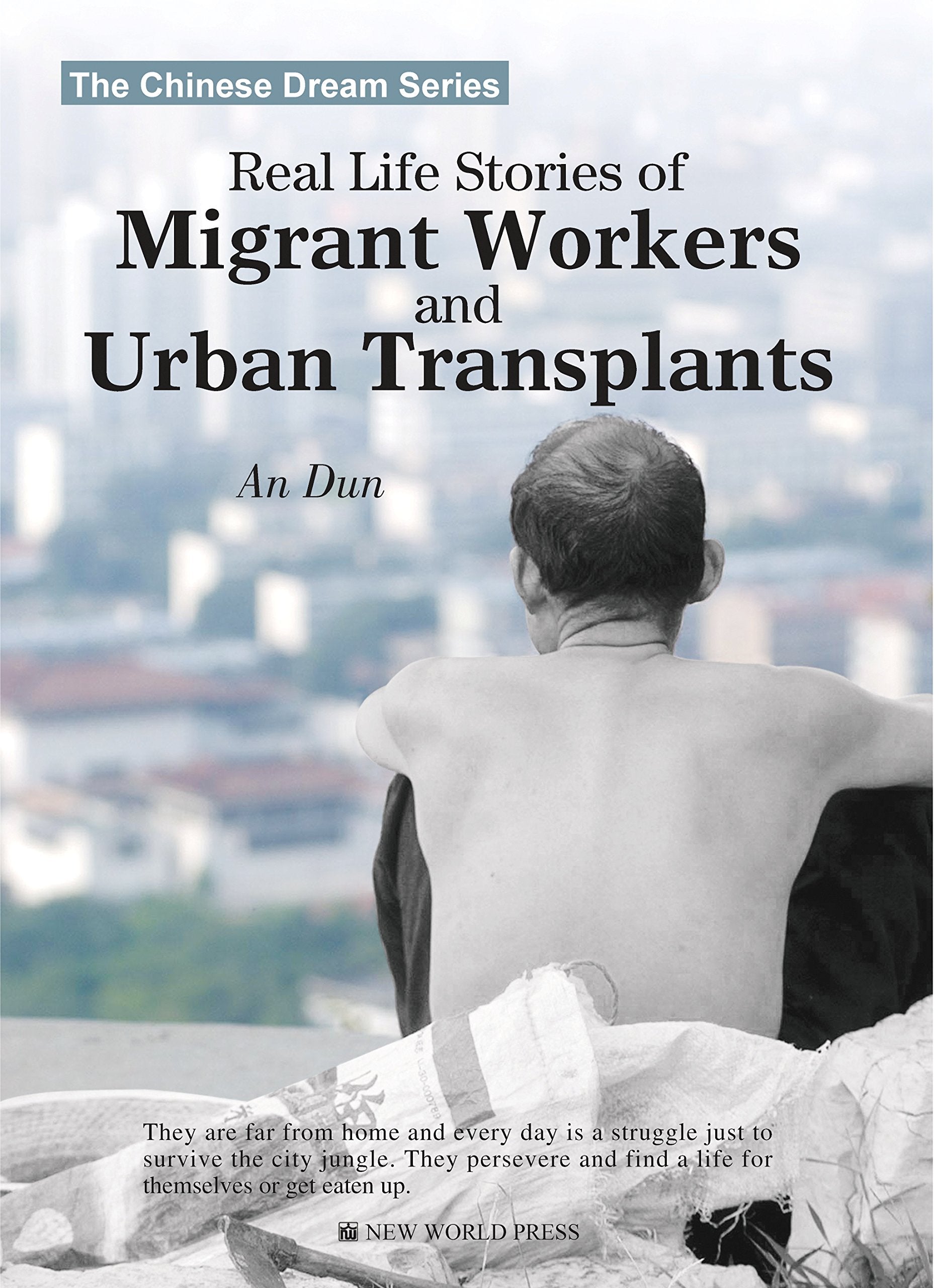 Real Life Stories of Migrant Workers and Urban Transplants book